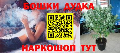 прущие грибы Беслан