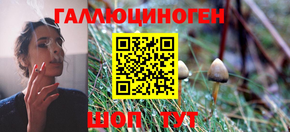 Звенигород  Галлюциногенные грибы Cubensis  Вход с VPN  Галлюциногенные грибы ЛСД 