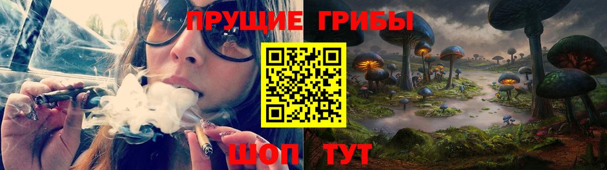 Галлюциногенные грибы MAGIC MUSHROOMS Звенигород